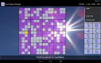 16x16 Sudoku Challenge HD Screen Shot 3