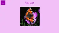 Butterflies Jigsaw Puzzle Screen Shot 2