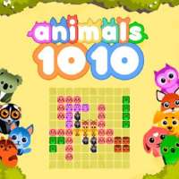 1010 Animals