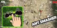 Ant Smasher - Permainan Anak Screen Shot 0