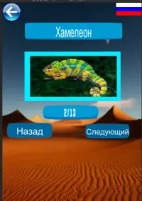 Изучение имен животных Screen Shot 6