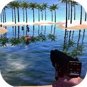 Beach Shooting