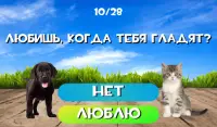 Тест какой ты котик или пёсик. Твой питомец Screen Shot 3