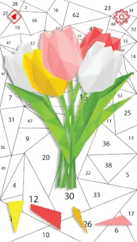 Flower Polygon Puzzle By Number Screen Shot 1
