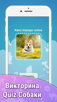 Квиз Популярные Породы Собак Тест ❓🐕⁉🐶❤ Screen Shot 1