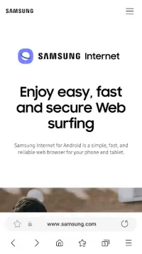 Samsung Internet Browser Screen Shot 0