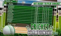 World Cricket Skills 2016 Cup Screen Shot 1