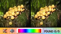 Find Difference mushroom Screen Shot 3
