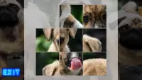 Puppy Dog Puzzle Slide - Sliding Tiles Game Screen Shot 2