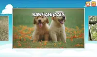 Animals Word Games for kids 10 years free spelling Screen Shot 13