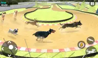 Dog Race Game: New Kids Games 2020 Animal Racing Screen Shot 5