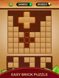 Wood Block Puzzle Games 2021 - Wooden Block Puzzle Screen Shot 15