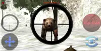 BEAR HUNTING 2015 Screen Shot 3