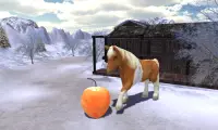 Snow Hill Pony Horse Simulator Screen Shot 3