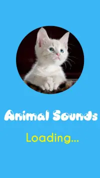 Animal sounds for kids Screen Shot 0