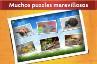 Juego de Insectos - Puzzle para niños y adultos 🐞 Screen Shot 1