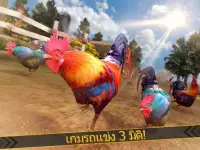 ป่าไก่ตัวผู้วิ่ง - บ้าไก่ฟาร์มแข่งการอยู่รอดเกม Screen Shot 6