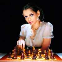 Chess free online pertemputan