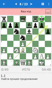 Шахматный миттельшпиль III Screen Shot 0