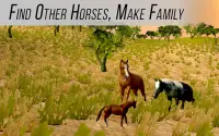 Arabian Horse Simulator Screen Shot 1