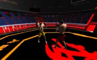 Real Boxing Combat 2016 Screen Shot 5