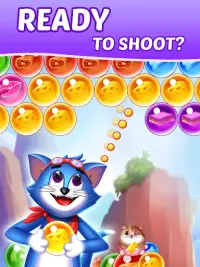 Tomcat Pop: Bubble Shooter Screen Shot 5