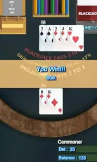 Blackjack Trainer Free Screen Shot 2
