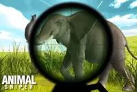 Sniper Jungle Safari 3D Screen Shot 1