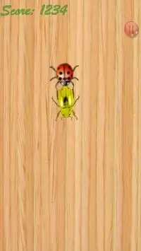 LadyBug Smasher Screen Shot 4