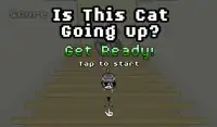 Is This Cat Going Up? Screen Shot 0