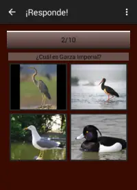 104 Aves Quiz Screen Shot 1