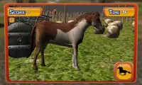 Permainan Wild Horse Simulator Screen Shot 3