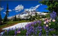 Nature Jigsaw Puzzles Screen Shot 6