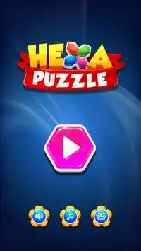 Hexa Puzzle Block Screen Shot 0
