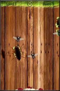 Tap Bugs & Insect Screen Shot 2