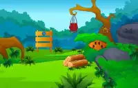 Escape Games - Jungle Life Screen Shot 4