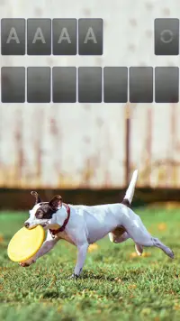 Solitaire Adorable Puppy Theme Screen Shot 1