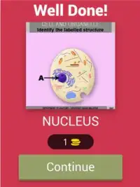 Anatomy Online Quiz: Cell and Organelles Screen Shot 7