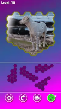 Hexa Jigsaw - Dogs jigsaw puzzle game Screen Shot 3