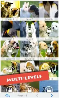 T-Puzzle: Animals in Love Screen Shot 0