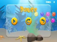 Dolphin Play Screen Shot 7