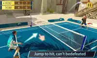 3D Pro Badminton Championship - Sports Game Screen Shot 0