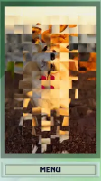 Dogs and puppies puzzle Screen Shot 2