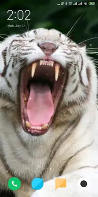 Tiger Live Wallpaper Screen Shot 2