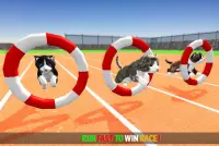 Cat Simulator Game 2020 :Kitty Running Screen Shot 2