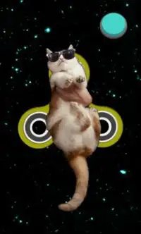 Fidget Spinner: Space Cats Screen Shot 3