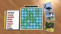 Wordsearch Revealer - Birds Screen Shot 0