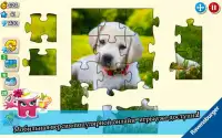 Puzzle Adventures Screen Shot 6