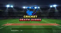 Cricket Death Overs Screen Shot 0
