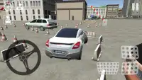 Car Parking : RCZ Simulator Screen Shot 1